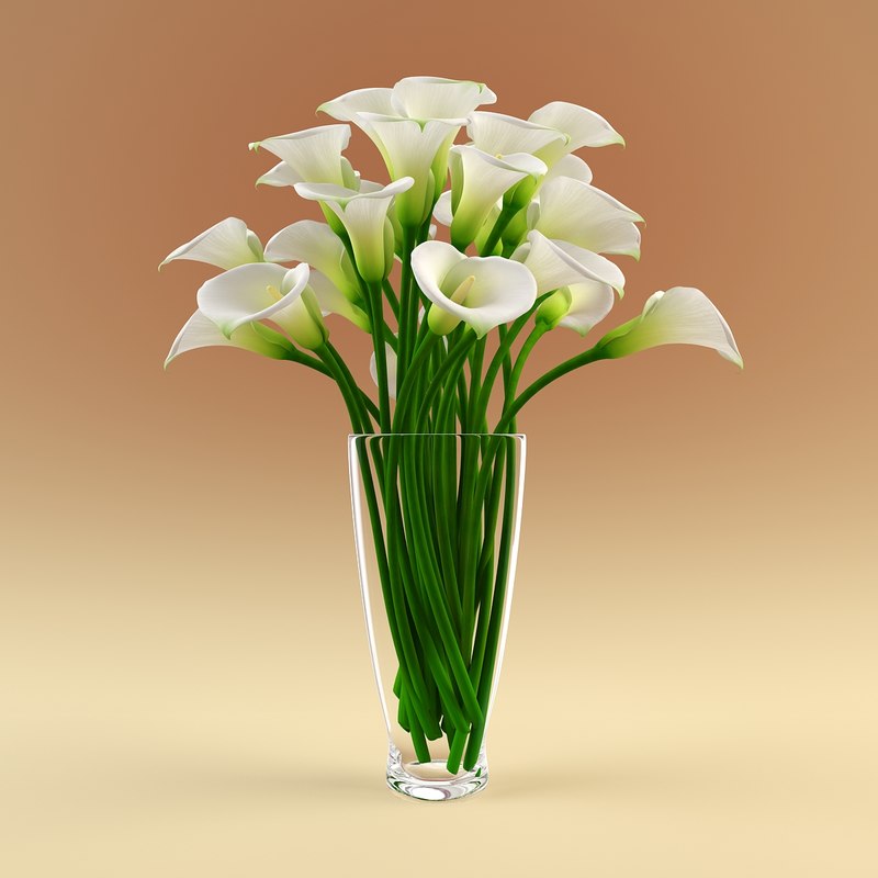  vase  calla flowers  3d  model